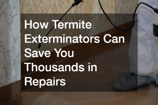 How Termite Exterminators Can Save You Thousands in Repairs